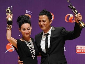 影帝在上[娱乐圈],娱乐圈的璀璨星光与奋斗历程