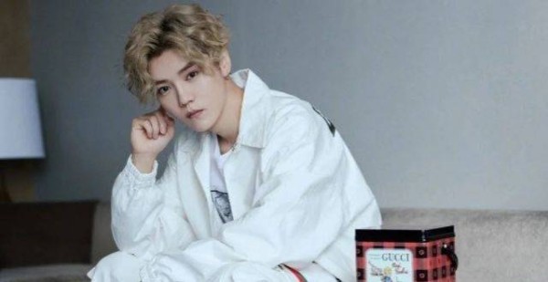 鹿晗与黑豹乐队为旗下艺人，风华秋实递交香港IPO申请