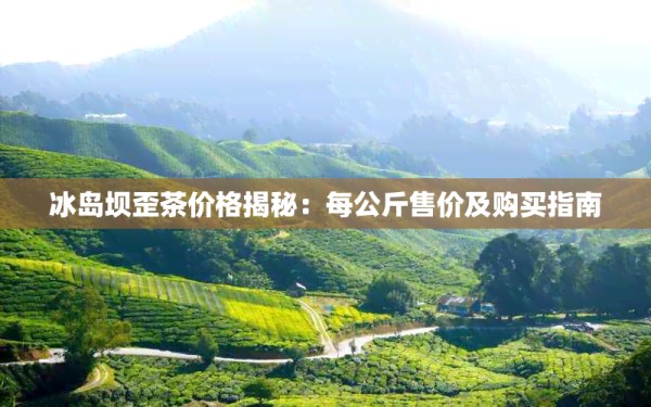 冰岛坝歪茶价格揭秘:每公斤售价及购买指南