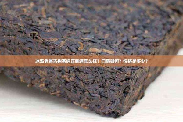 冰岛老寨古树茶纯正味道怎么样?口感如何?价格是多少?