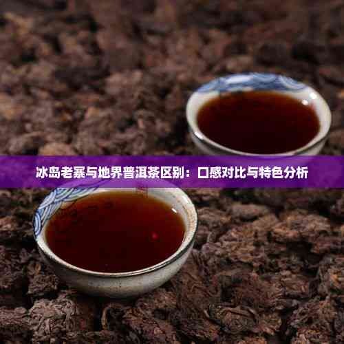 冰岛老寨与地界普洱茶区别:口感对比与特色分析