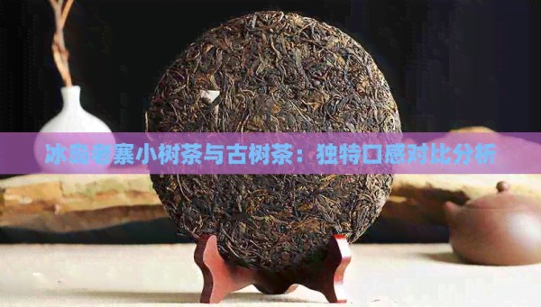 冰岛老寨小树茶与古树茶:独特口感对比分析