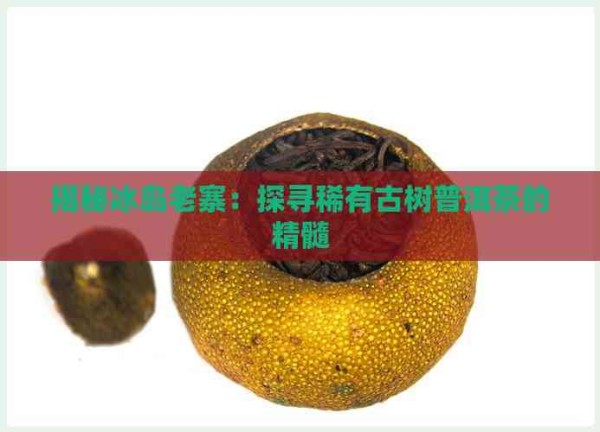 揭秘冰岛老寨:探寻稀有古树普洱茶的精髓