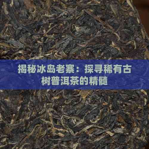 揭秘冰岛老寨:探寻稀有古树普洱茶的精髓