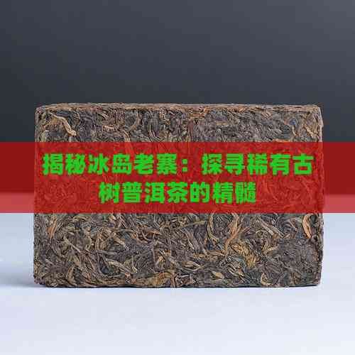 揭秘冰岛老寨:探寻稀有古树普洱茶的精髓