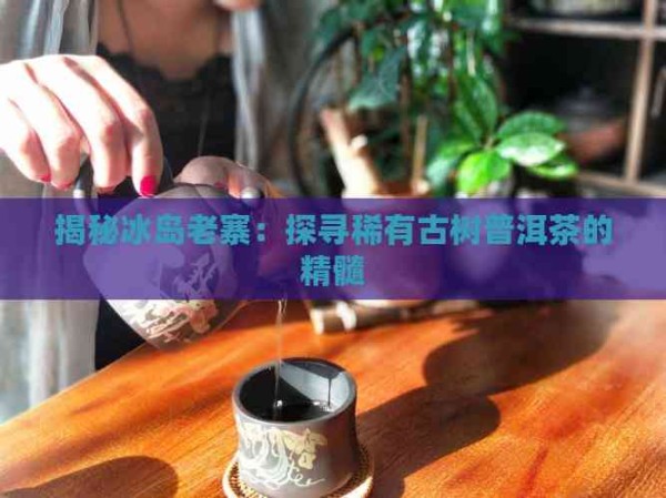 揭秘冰岛老寨:探寻稀有古树普洱茶的精髓