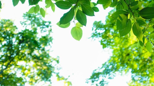人生中的遗憾:如何学会释怀与前行?