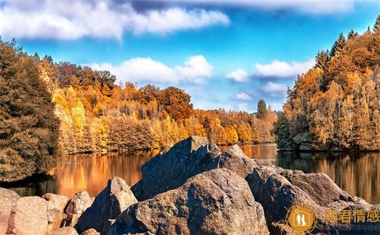 情感大师-长久的恋爱需要什么来维持