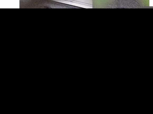 谢霆锋为什么对王菲恋恋不忘!涂磊6个字概括了真实原因