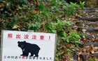 熊被枪打中后“装死”，日本男子上前查看遭攻击