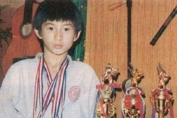 吴奇隆与刘诗诗:爱情与生活的传奇