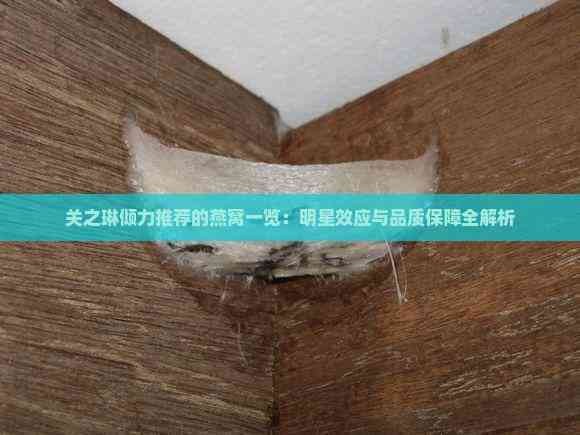 关之琳倾力推荐的燕窝一览:明星效应与品质保障全解析