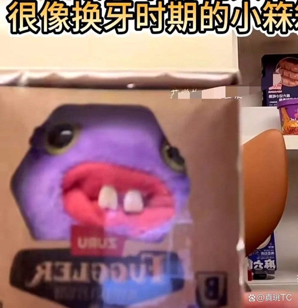 明星带娃到底是真情流露还是另一场家庭秀?