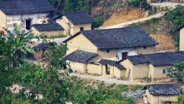 毒狗赚黑心钱,结果阴差阳错毒死了自己的儿子