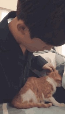 邓伦、王俊凯、鹿晗这些明星都来了,看天猫如何引爆粉丝经济?