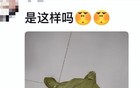 “爸妈笑了半小时才舍得寄过来……”