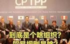 我国为何执意加入CPTPP？对经济有几大利好