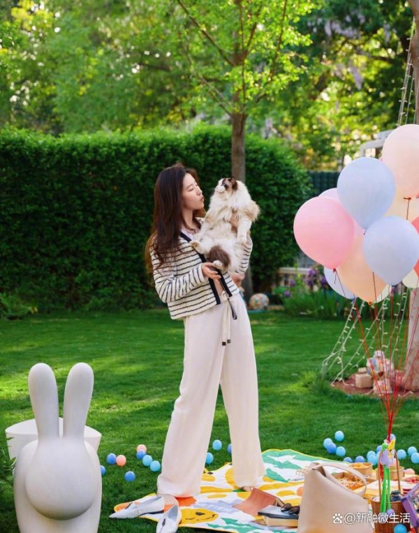 萌化了!内娱顶级猫奴曝光,胡歌养猫搞家族谱系,刘亦菲成流浪猫妈妈