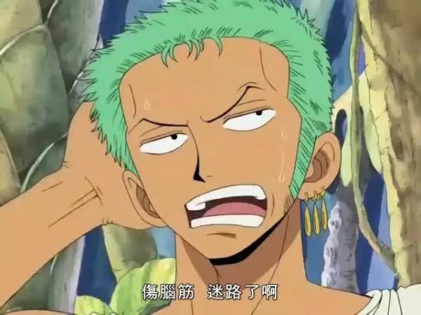 肿瘤界热门信号通路总结 纽普生物