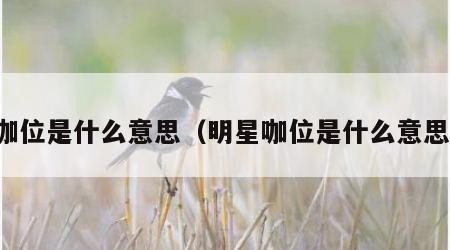 咖位是什么意思（明星咖位是什么意思）