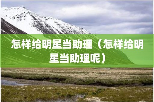 怎样给明星当助理（怎样给明星当助理呢）