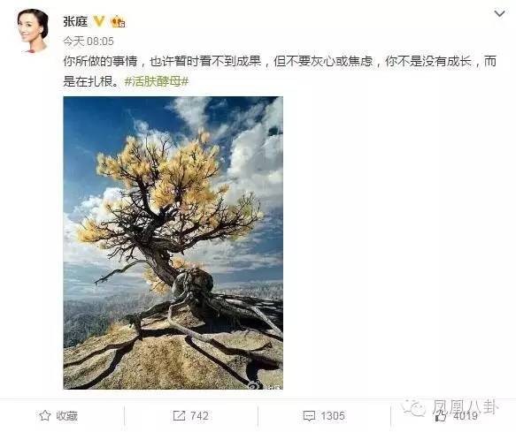 请远离随便代言微商的明星