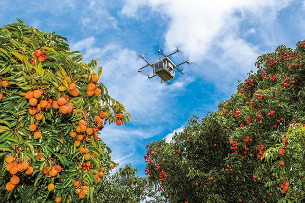 墨西哥的荔枝味