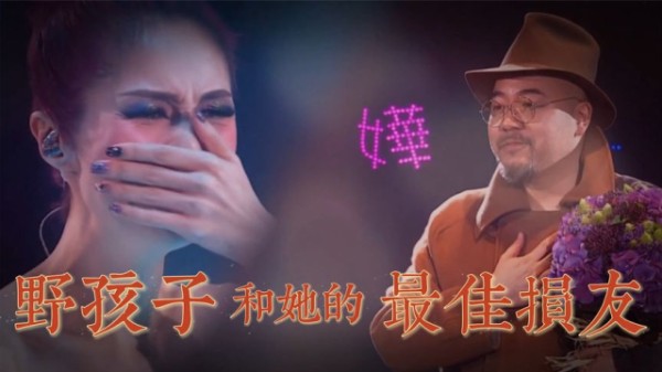 Thumbplayer Poster Plugin Image