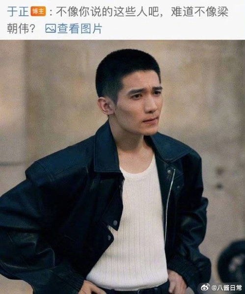 梁永棋回应像梁朝伟_47岁的梁咏琪:赢了爱情,输了事业