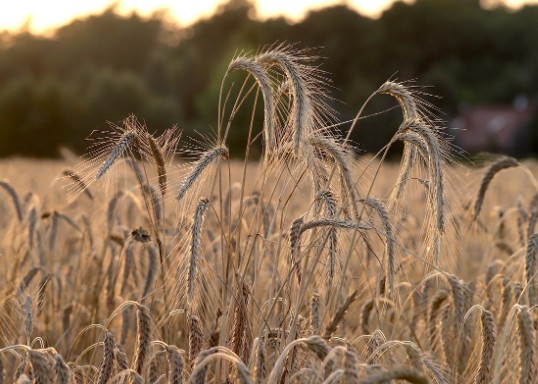 高情商培养篇,如何和同事相处