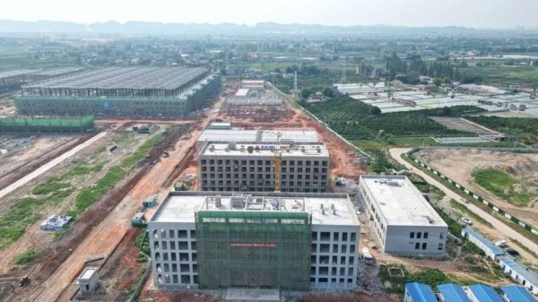 李氏兄弟的刑罚对企业转型与发展的影响