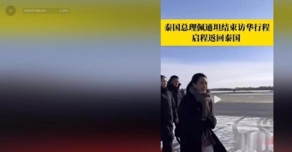 佩通坦被停职背后,王星感情难掩,两人往昔协作成最大看点