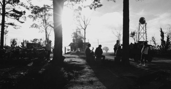 明星公关危机心理及应对策略