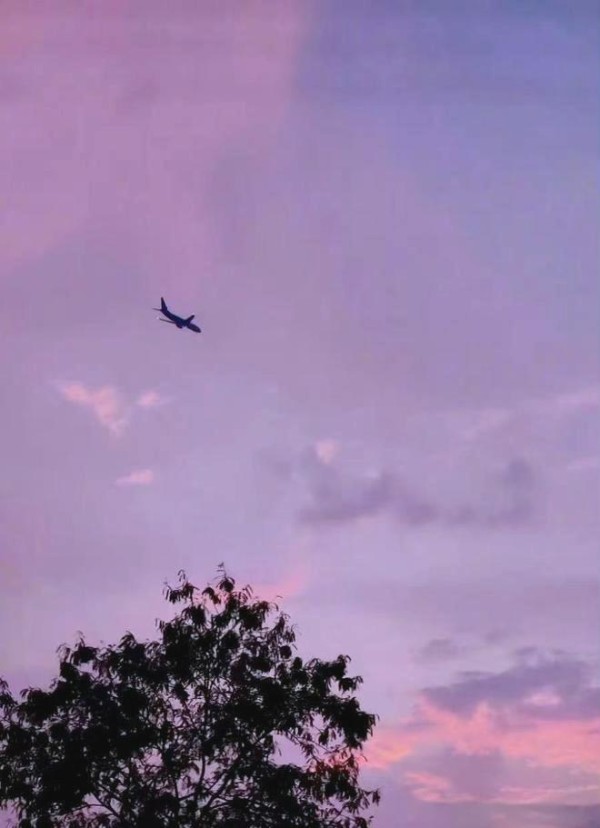 星空下的友谊与爱:陈乔恩与乔任梁的情感传承