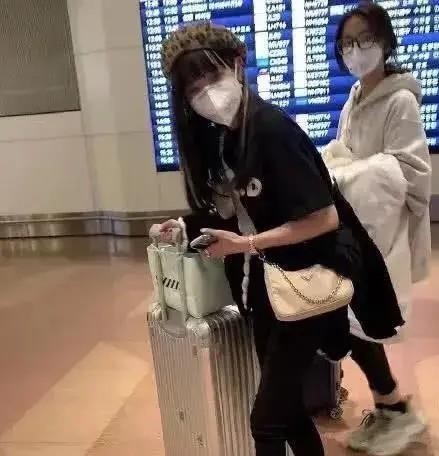 现代版农夫与蛇,去国外的明星们要求派专机接回国,一落地就耍横