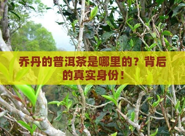 乔丹的普洱茶是哪里的品牌