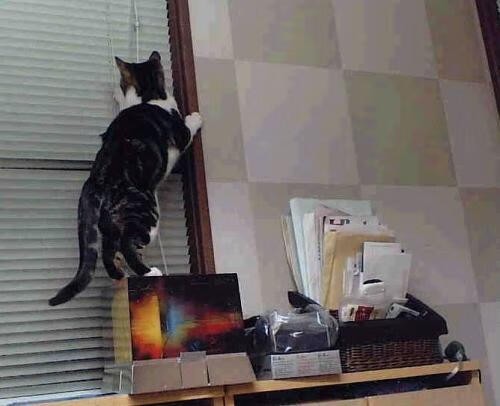 天秤座男生的爱情和婚姻如何?天秤男的婚姻会幸福吗?