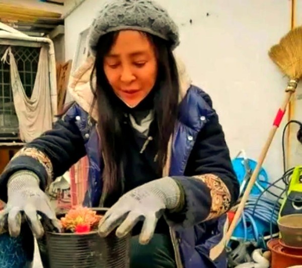 李勤勤:从明星到跨国婚姻的坎坷人生回顾