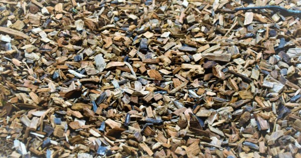 mulch