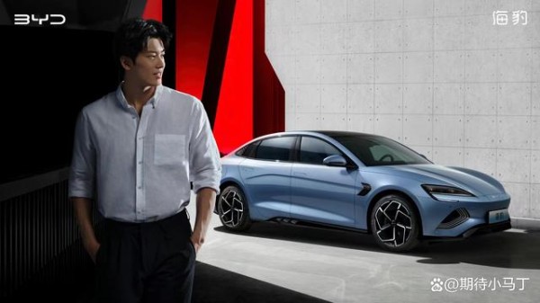 “豹款”配“游物”:论“海豹”与代言人汪顺的适配性-有驾