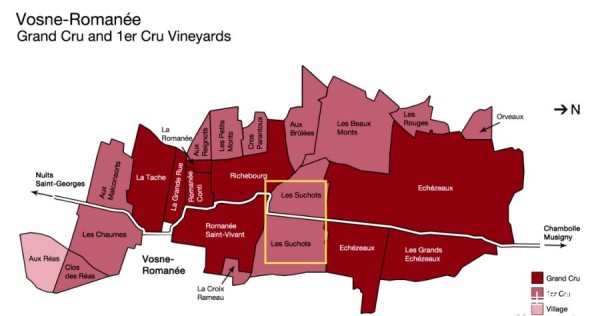 千万不要过度神化“明星一级园”