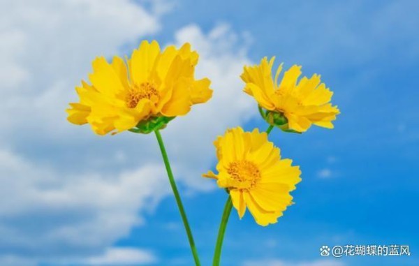 婚姻里，聪明的男人，这样去“疼”老婆