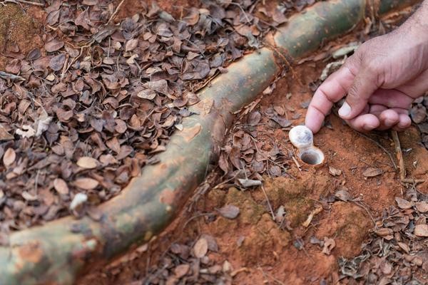 明星雇主：揭秘娱乐圈明星的神秘后花园图1