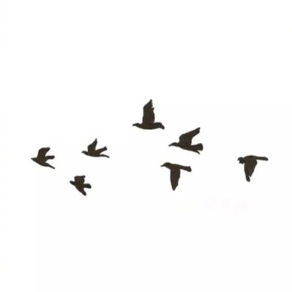 杨天真 谈艺人跟经纪...