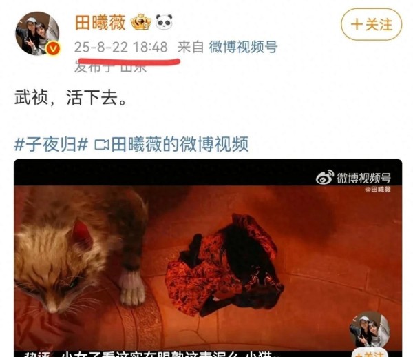 看起来努力的顶流 被曝私生活与新剧牵连调查中