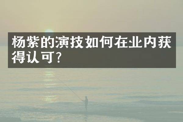 杨紫的演技如何在业内获得认可？