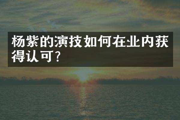 杨紫的演技如何在业内获得认可？