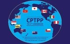 加入CPTPP：关乎未来的“高难度闯关”搏杀
