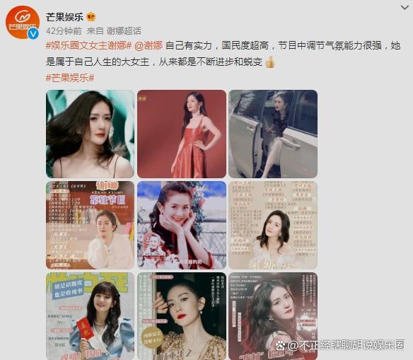 娱乐圈文女主是谢娜?这网文大概会扑街,买这热搜的人不靠谱啊
