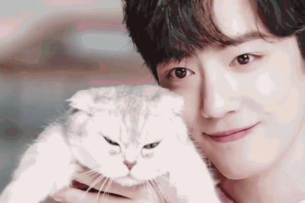 百度人气榜排名第一名你知道是谁，他粉丝为什么如此疯狂